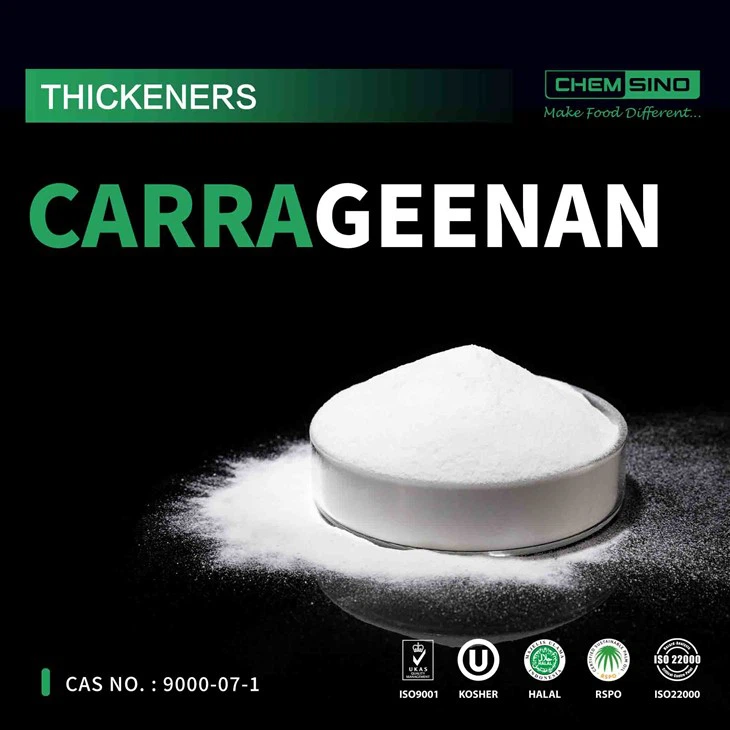 Cynhwysion Hudolus o Natur: Darganfod Manteision Rhyfeddol Carrageenan! RHIF CAS.9000-07-1