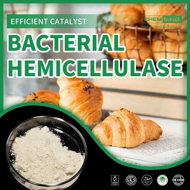 High-Purity Hemicellulase Enzyme in Food And Feed Applications
