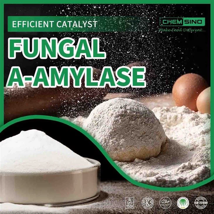 E1100 Ffwngaidd Alffa Amylase Ensym Mewn Cynhyrchu Bara