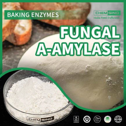 Alffa-Amylas Ffwngaidd: Cymwysiadau mewn Cynhyrchu Biodanwydd a Gwella Toes