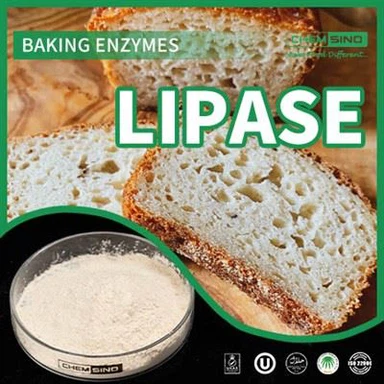 Tanwydd Eich Corff i'r Dde: Ensym Lipase ar gyfer Gwell Defnydd Maetholion RHIF CAS:9001-62-1