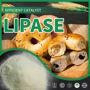 Addfwyn Ar Eich Stumog, Mighty Wrth Dreulio: Lipase Enzyme CAS NO.:9001-62-1